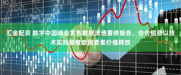 汇金配资 数字中国峰会发布数据流通重磅报告，合合信息以技术实践助推数据要素价值释放
